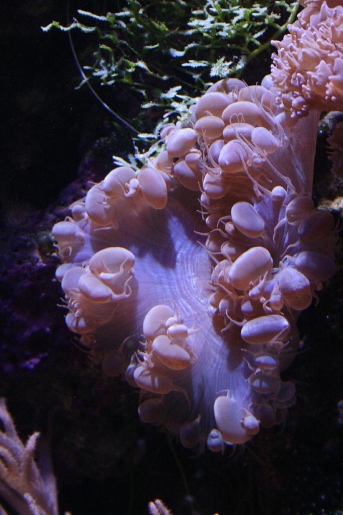 IMG_4863.JPG