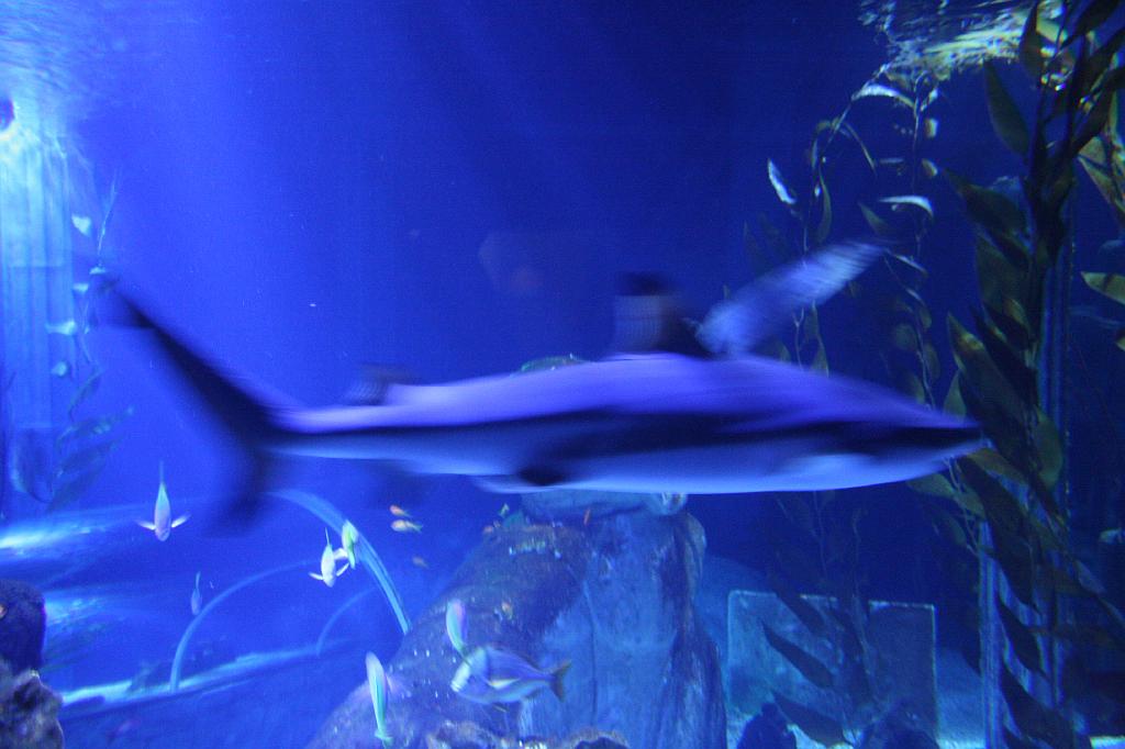 IMG_4879.JPG