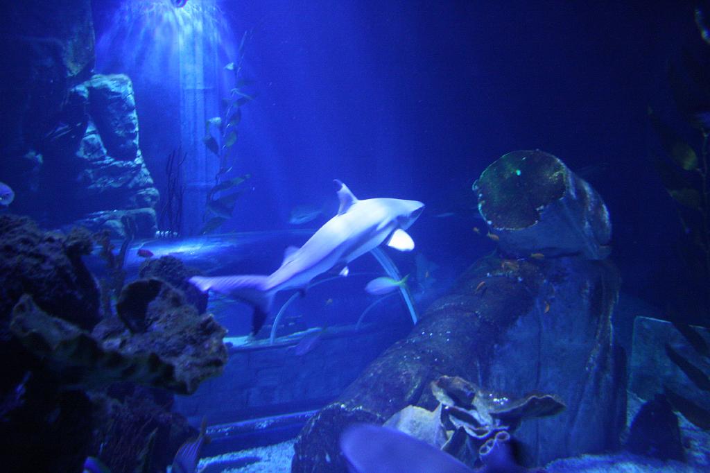 IMG_4881.JPG