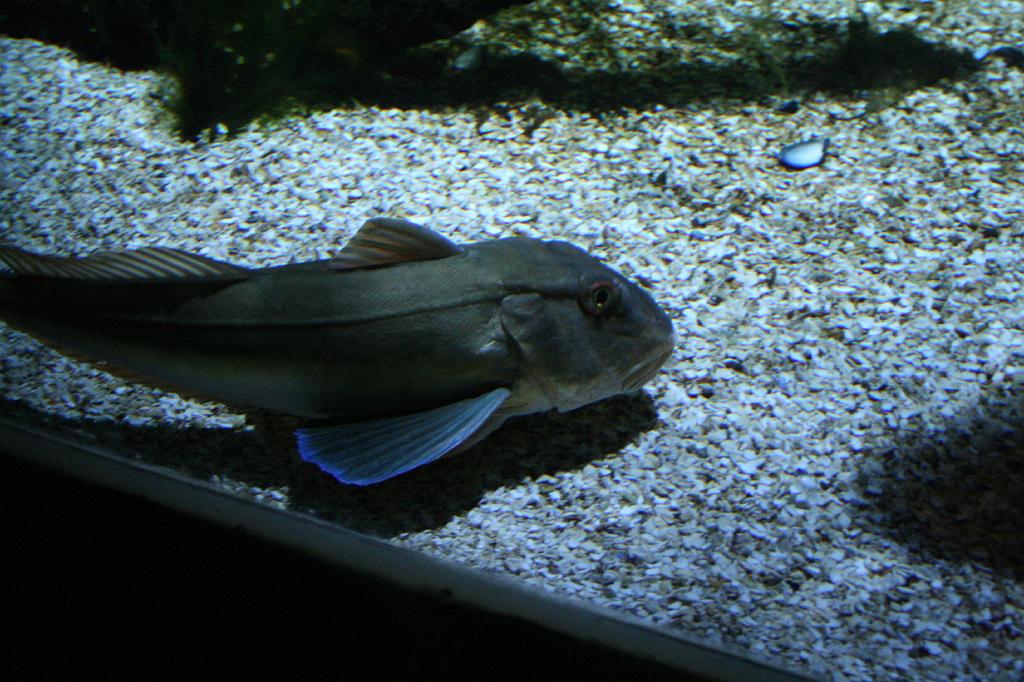 IMG_4901.JPG