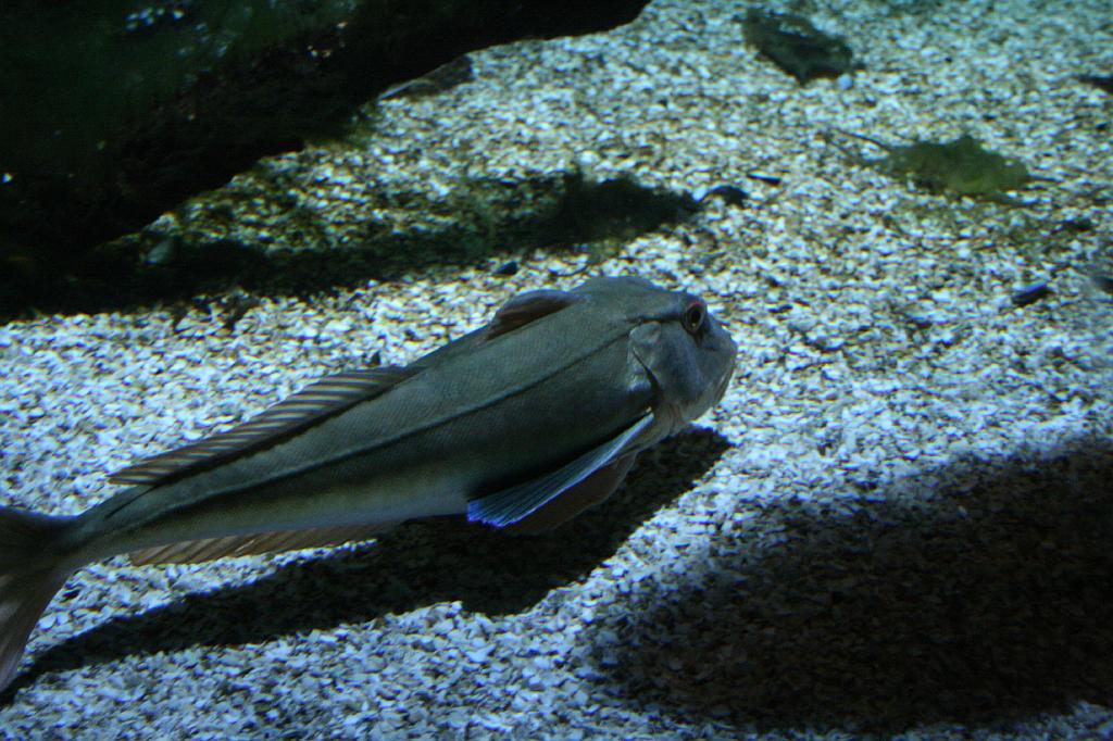 IMG_4902.JPG