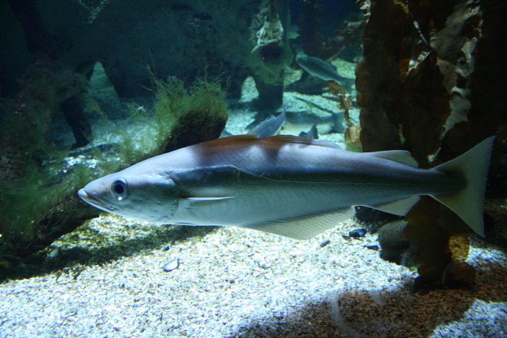 IMG_4903.JPG