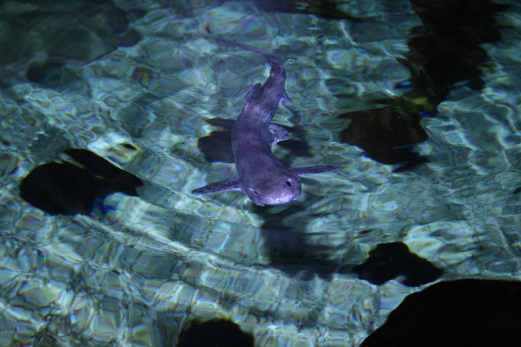IMG_4907.JPG